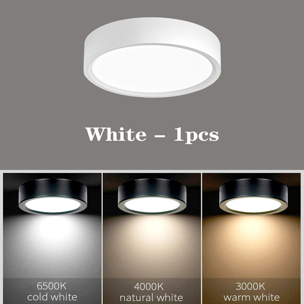 Aura LED Surface Mounted Downlight