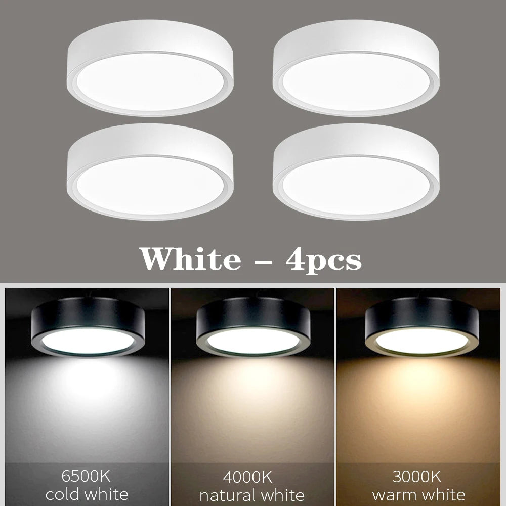 Aura LED Surface Mounted Downlight